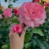 user6808704560052