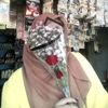 si_mns041