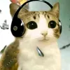 ptyer_gg