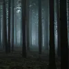 lateatnightaudio