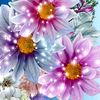 vasiliy.dronyak