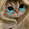 pl...6187