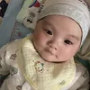 phng.lu494