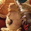 iamsebbies