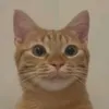 mateuszz____