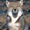 kasuyaro3