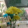 liat_ajay