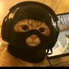 hmmmyelahhhh