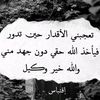 user1717672422024