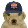 iijthjbkruf