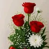 laeale_aa
