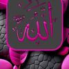 user808490393502adam