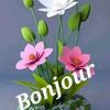 user7732635750748