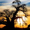 discoveringtheeastafrica