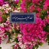 sgiheh3