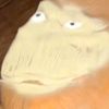somebodp