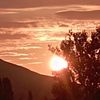 arda123123_