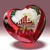 raja.raees740
