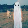 ladybelledawkins