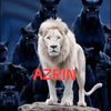 xxezrin