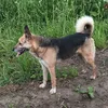 aleksandr01tiktok4