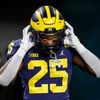 michigan_hypelights