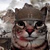 ohmygatos962