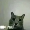 valen.la.pala
