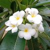 nyein.htet.aung792