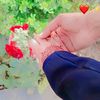 diyarajpoot992