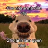 thieutientieuhihi