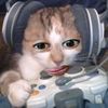 p1n4naww._