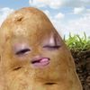 sayangku_0.0