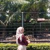 ntan_ds