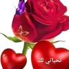 user8181335810298