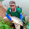 minhhieufishing