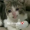 tuong_vy1912