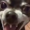 gsbgxgansb