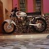 ffairuz24