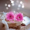 ahmad182341
