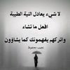 user8044229679668