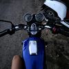 apis79540