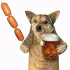 k9nyee