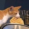 chello_morelike_hello