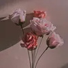 katarinaa459
