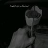azam.mm515