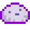 kels..pet..rock