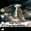 user3256661267835