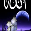 user2518051033369