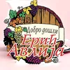 Avlija Erić